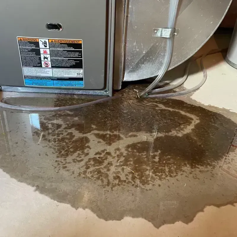 Appliance Leak Cleanup in Powers Lake, WI